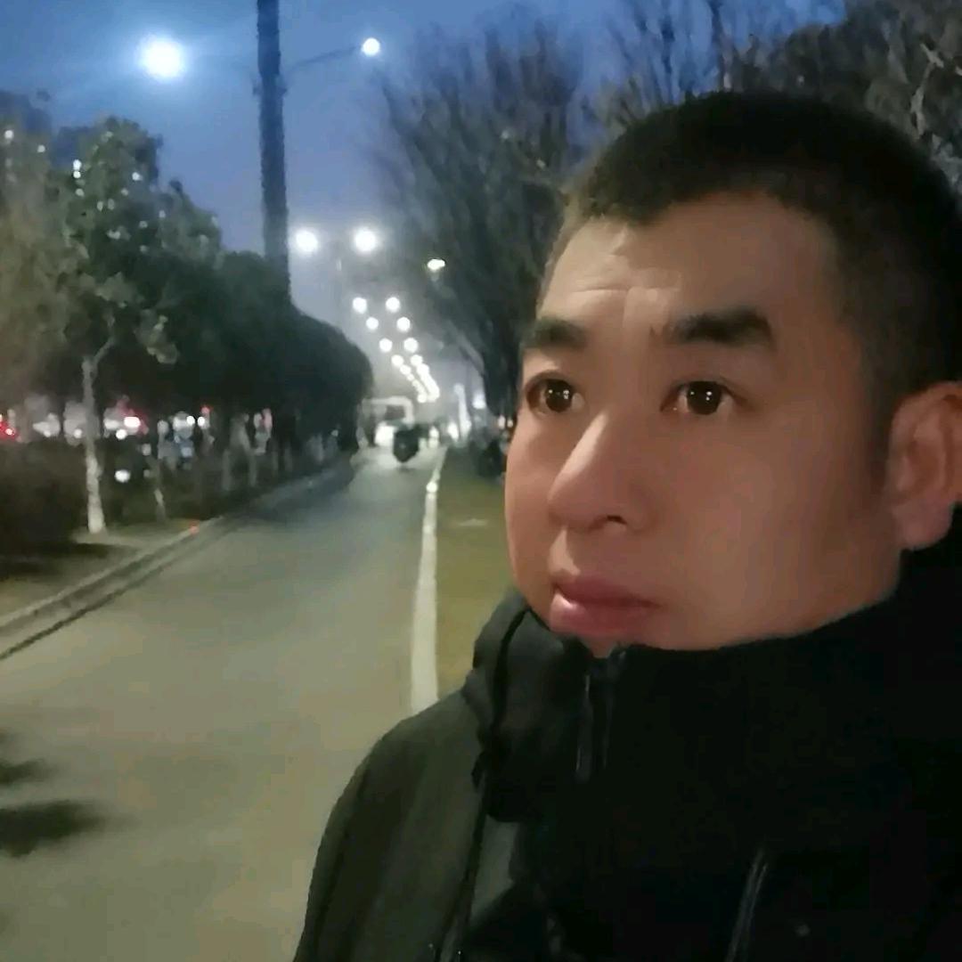 长安王辉