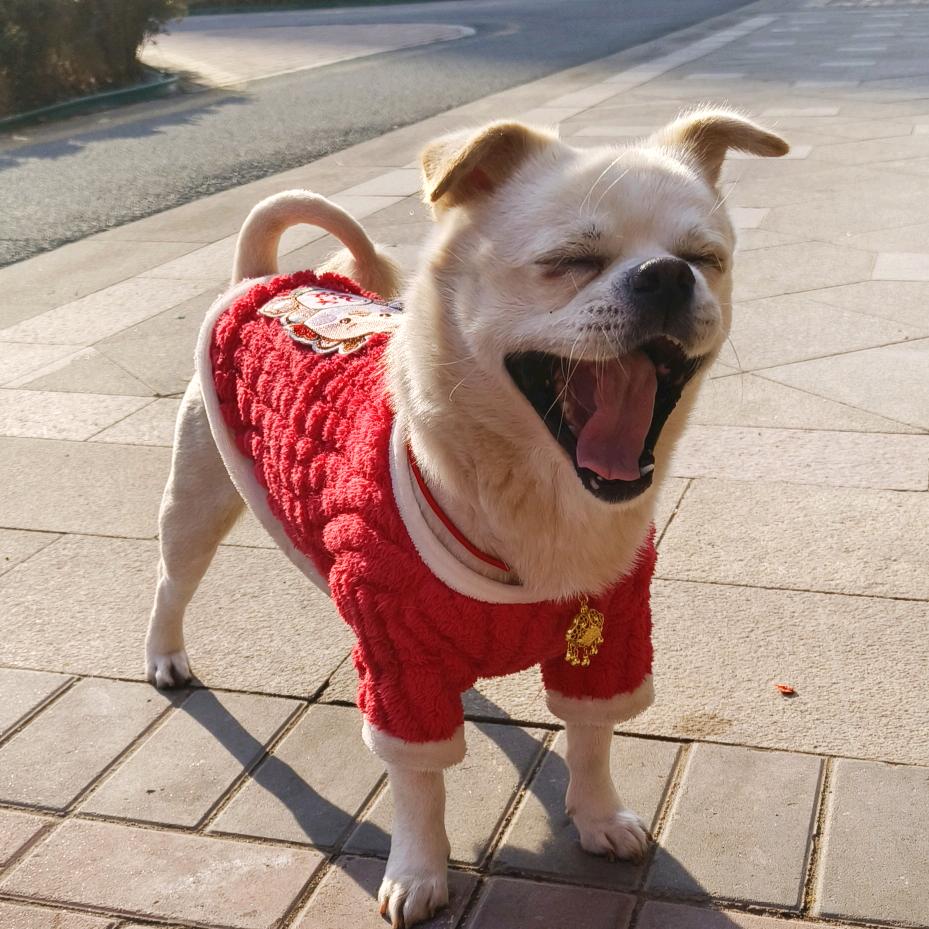 喜宠❤️ 妞乐宝