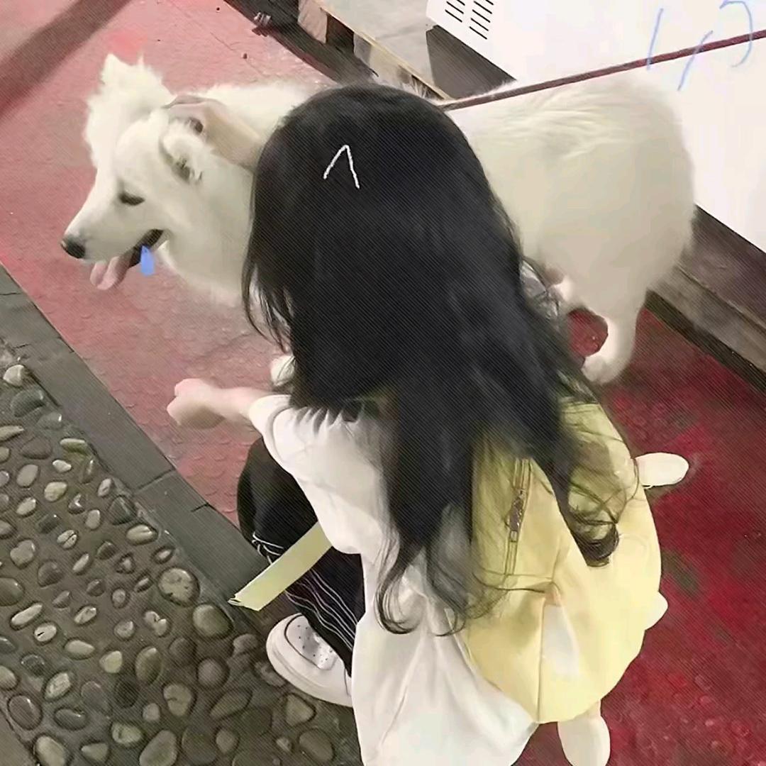 ˡᵒᵛᵉ是无解命题