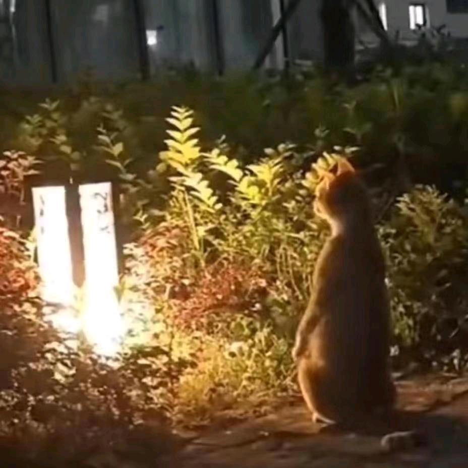 宽带接入发动机