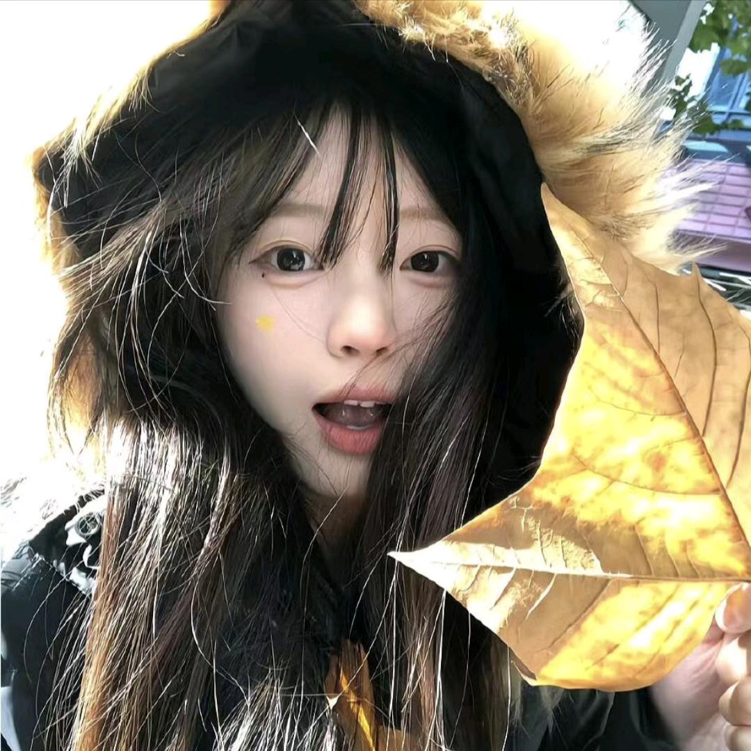 汪汪仙贝