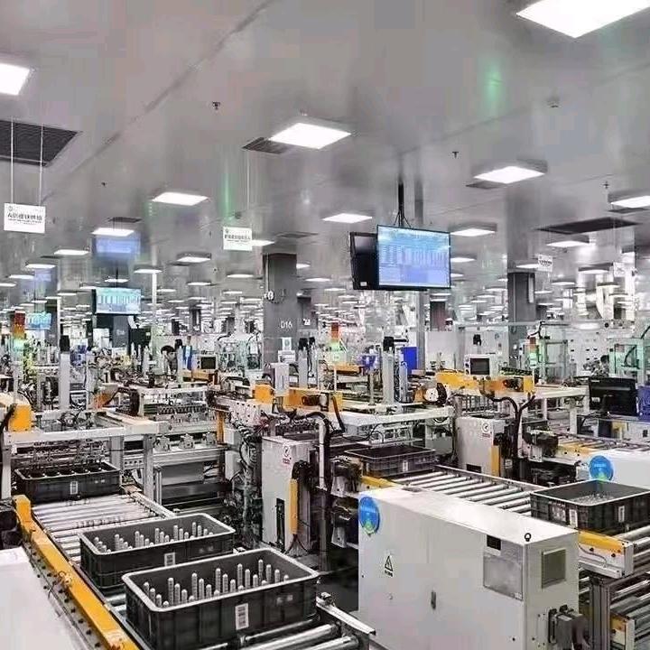 从今往后，我不会信爱情