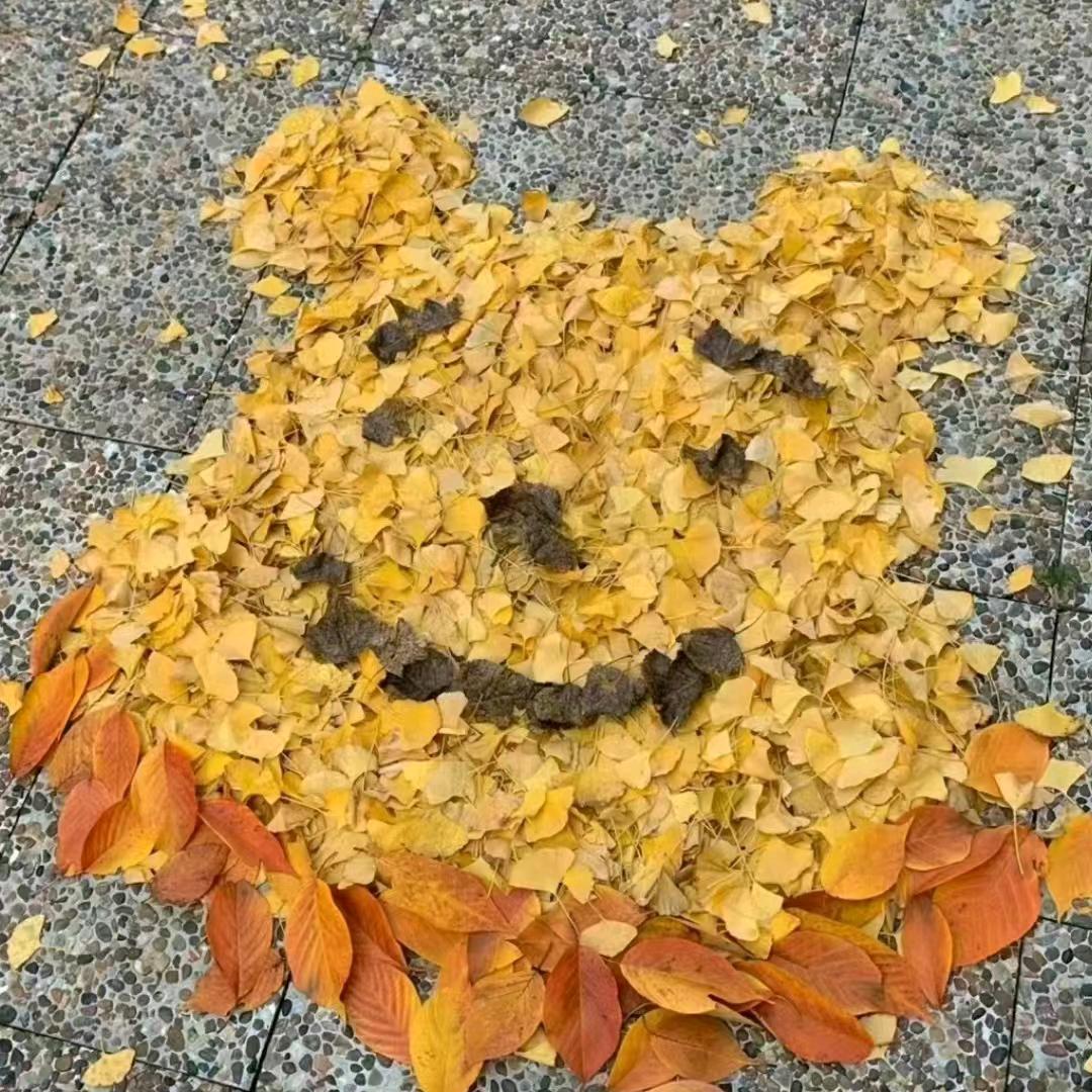 开心鸭～