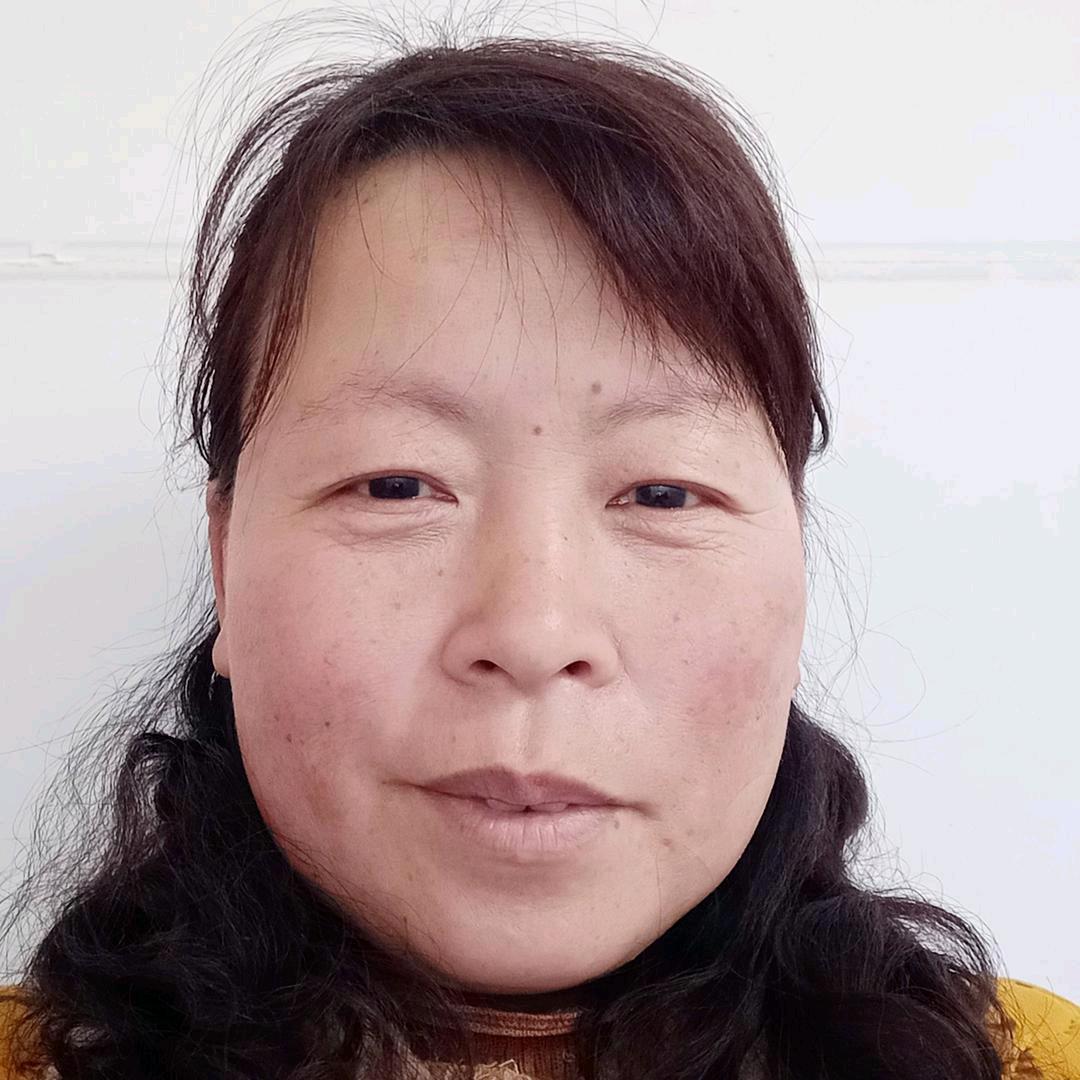 河南董姐