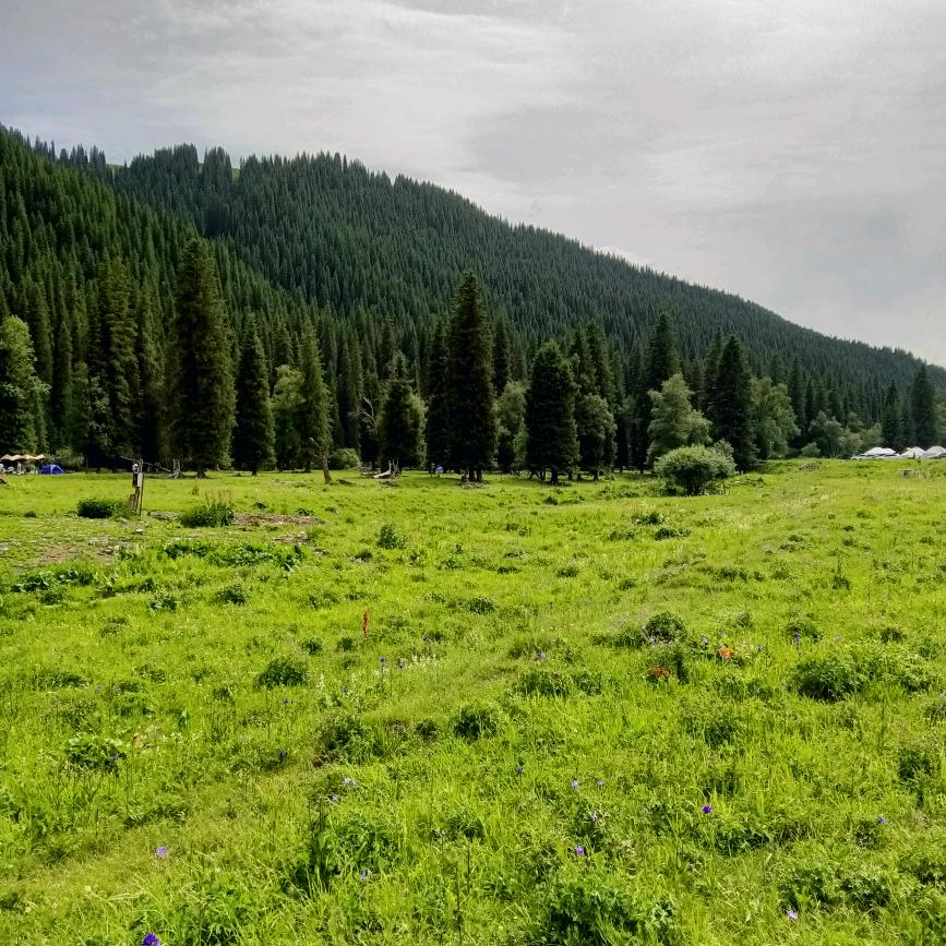 水珠——新疆特产分享的头像