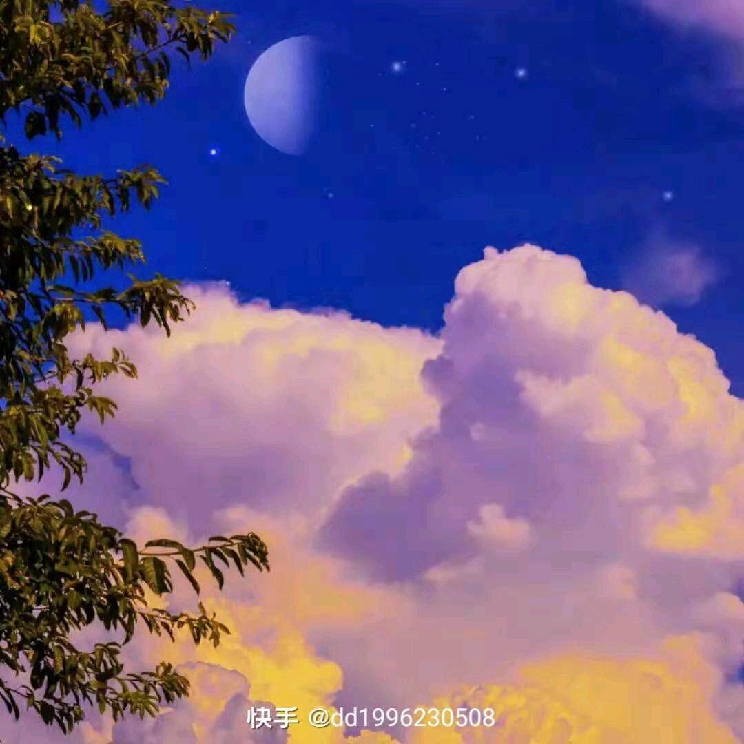 一见钟情🍀