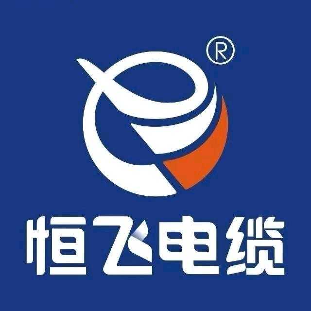 恒飞电缆小小美