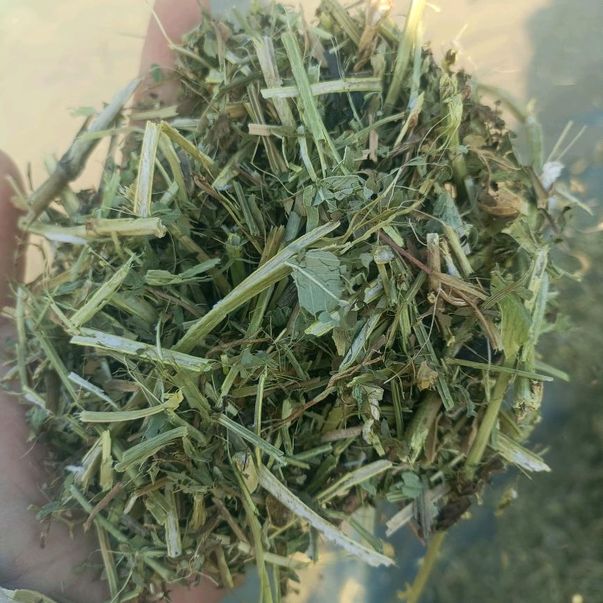 花生秧麦秸专售