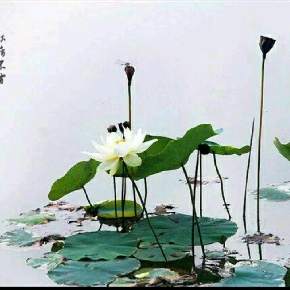 随心💕随缘