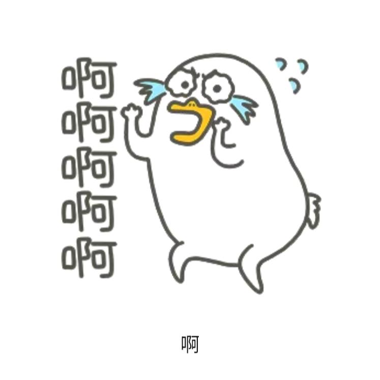 鲍签有点不尖