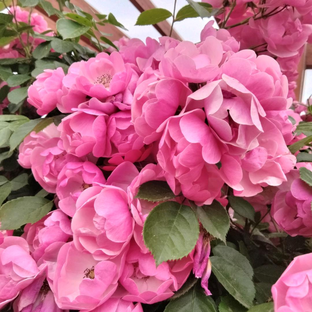 ☀东日暖阳💖💖