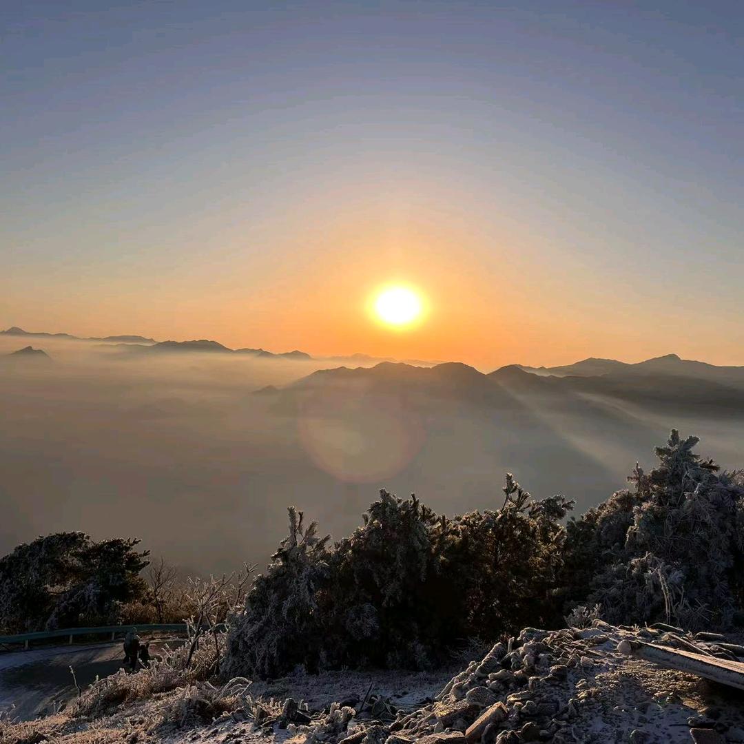李家招工