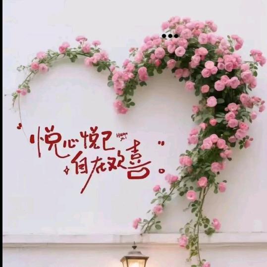 🍃 桐❤宇