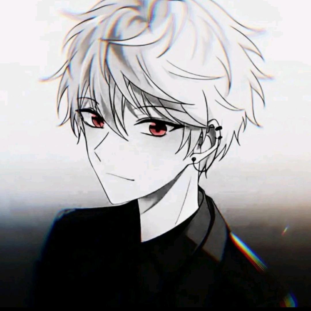 帆老板