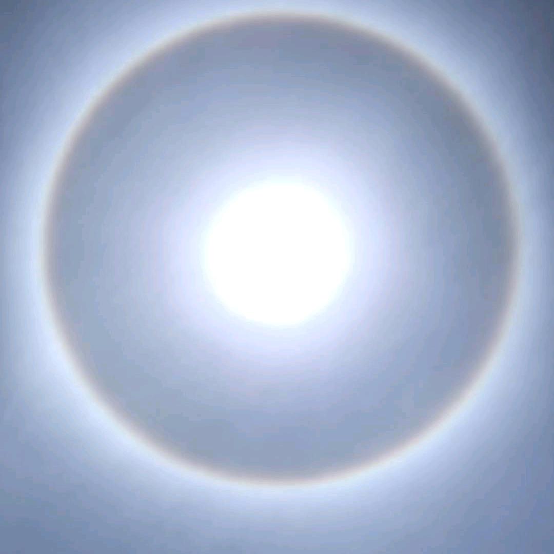 龙龙