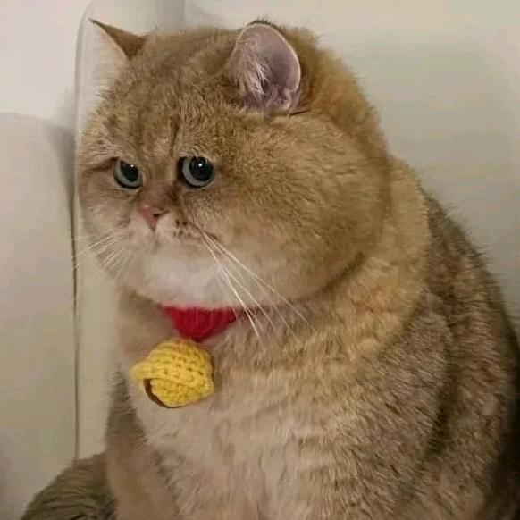 S Q
