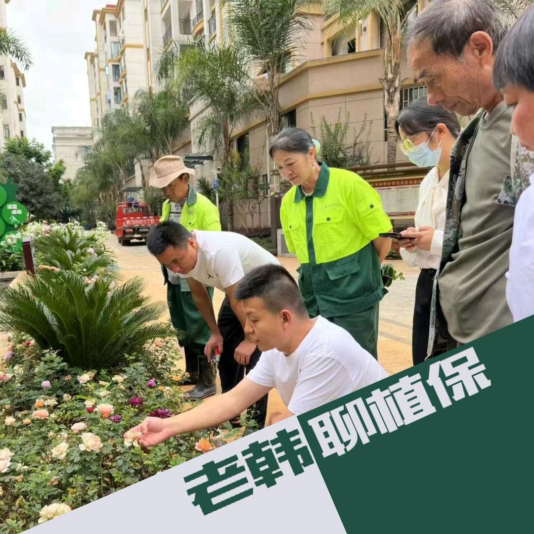 老韩聊植保