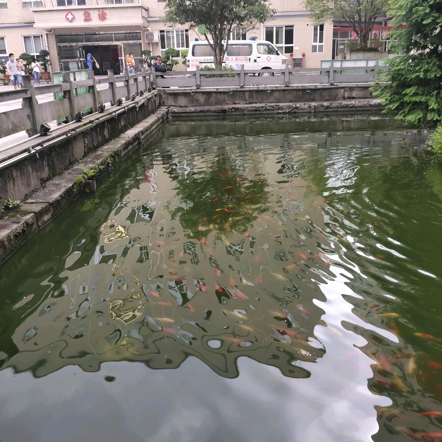 拥有