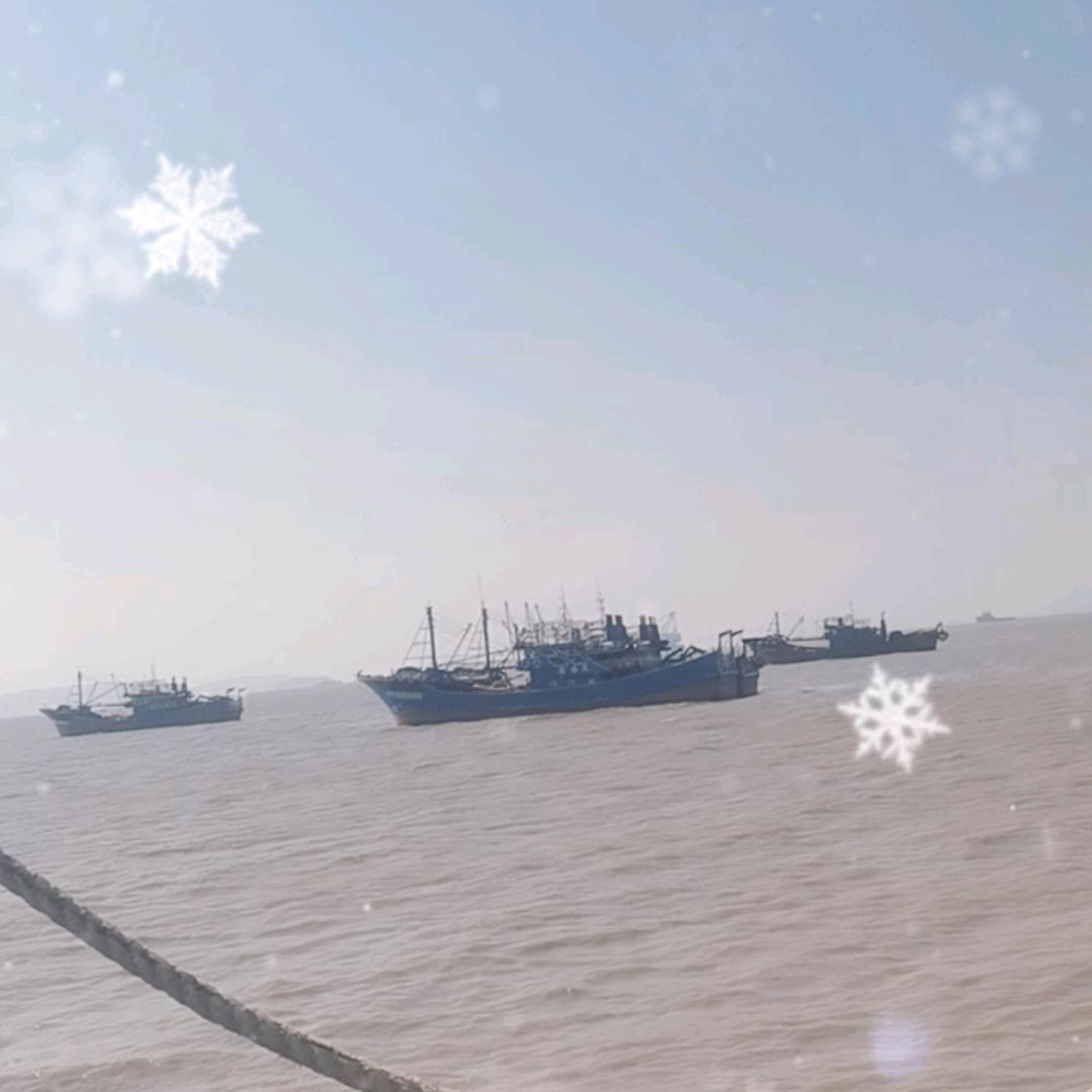 海哥