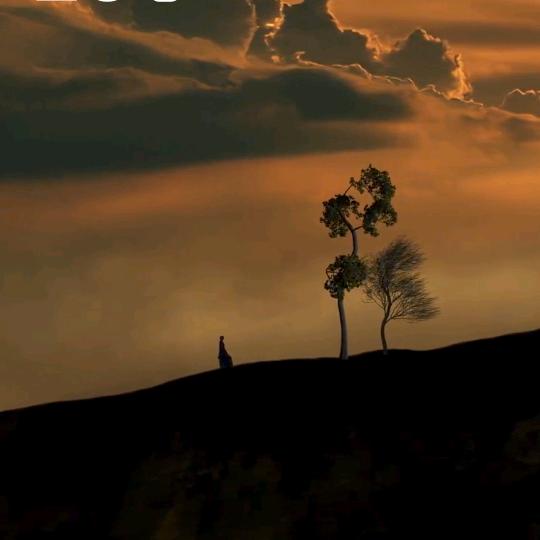 ꧁᭄ ꧂风꧁᭄ ꧂