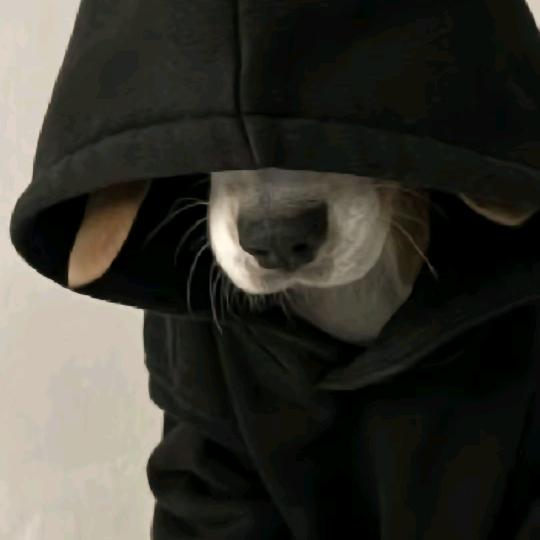 Despais（迷茫版）