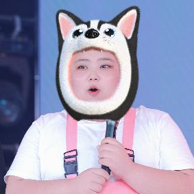 旺仔不小胖>_<