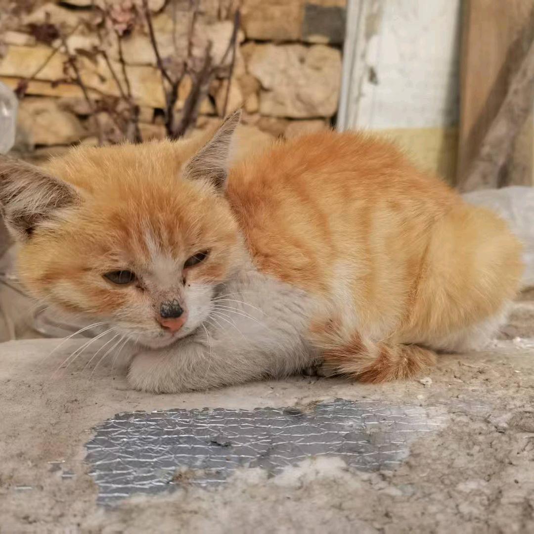 精神有点疯癫的我.婷