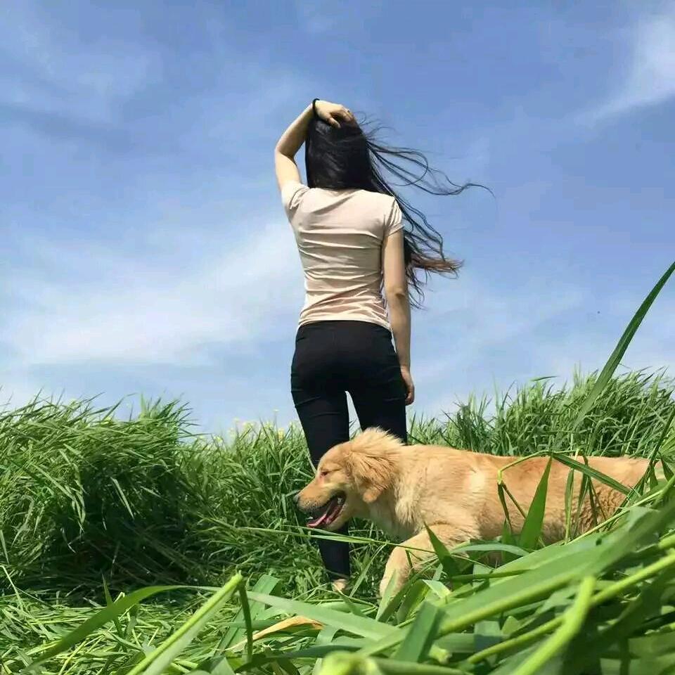 月归星隐