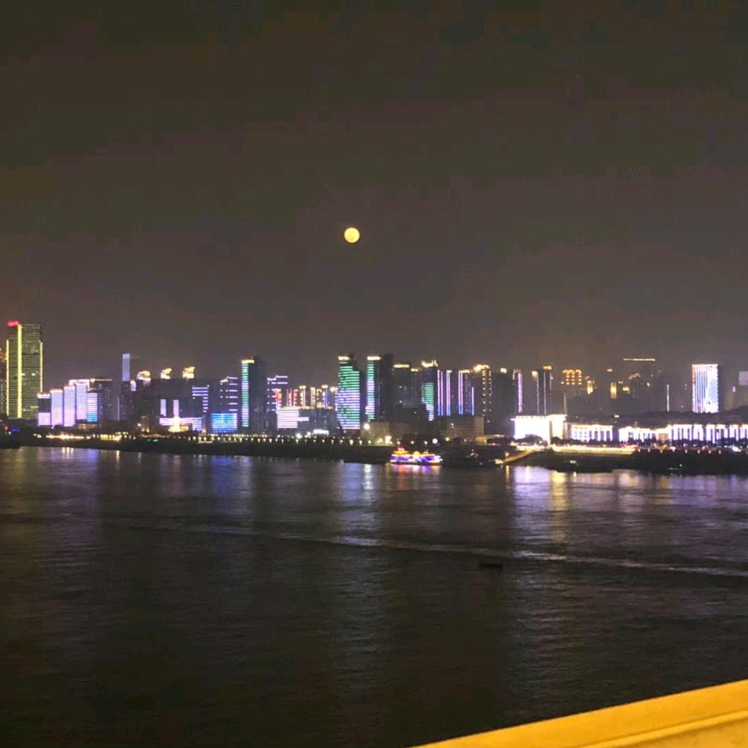 我的🐮🐴生活