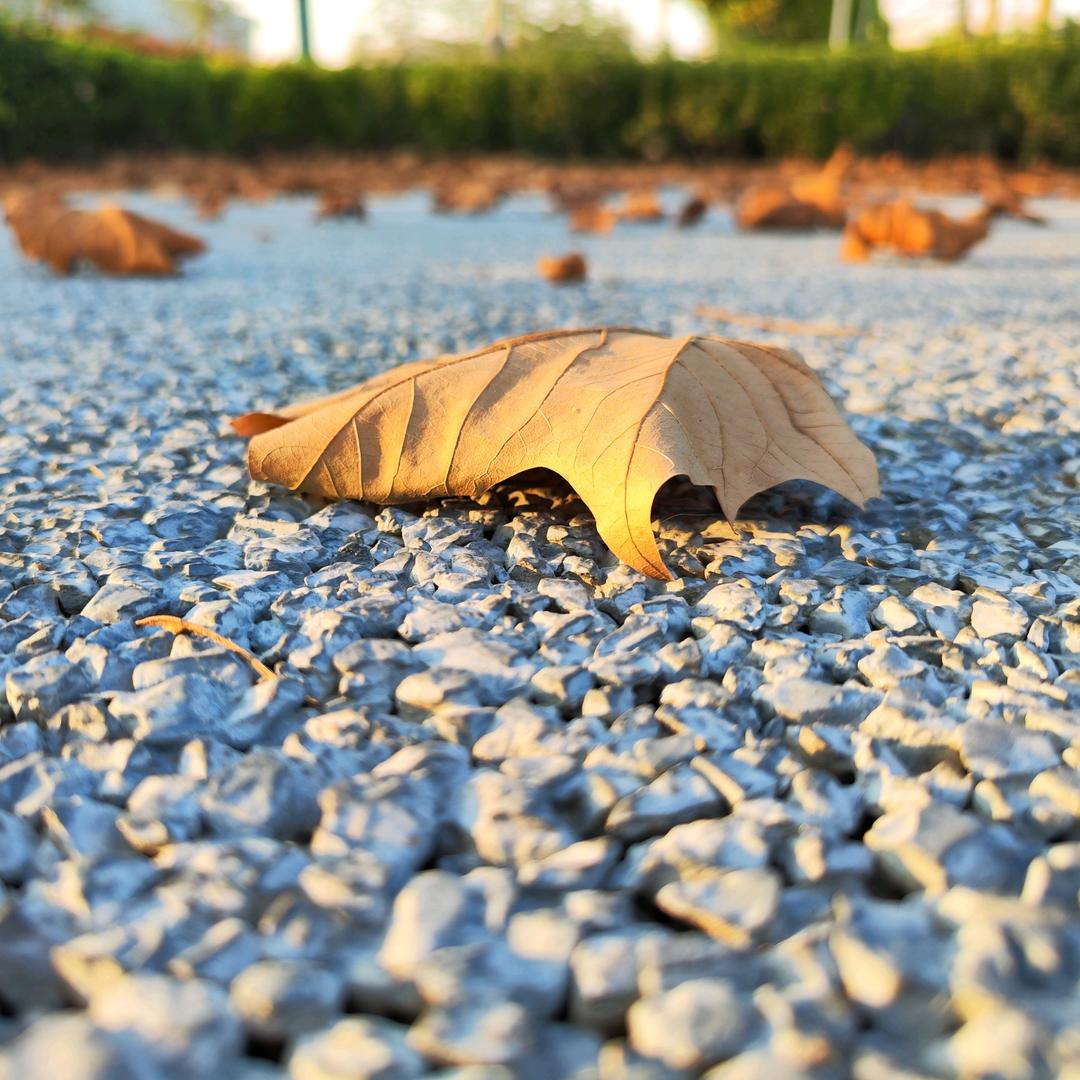 橘子不甜（求关注）