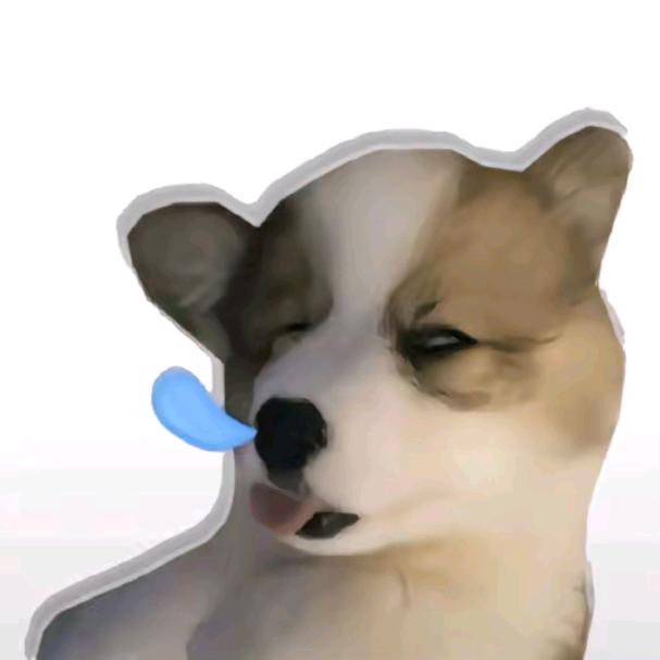 DongDong