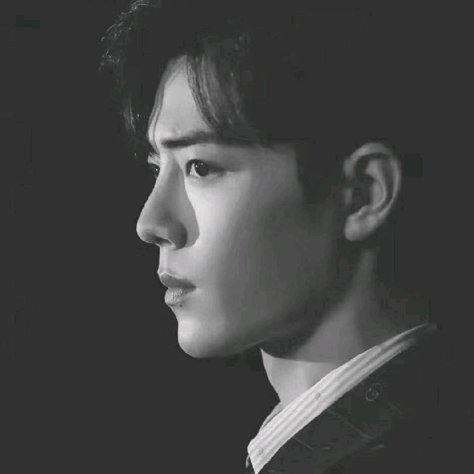 徐凤年（语音会长）