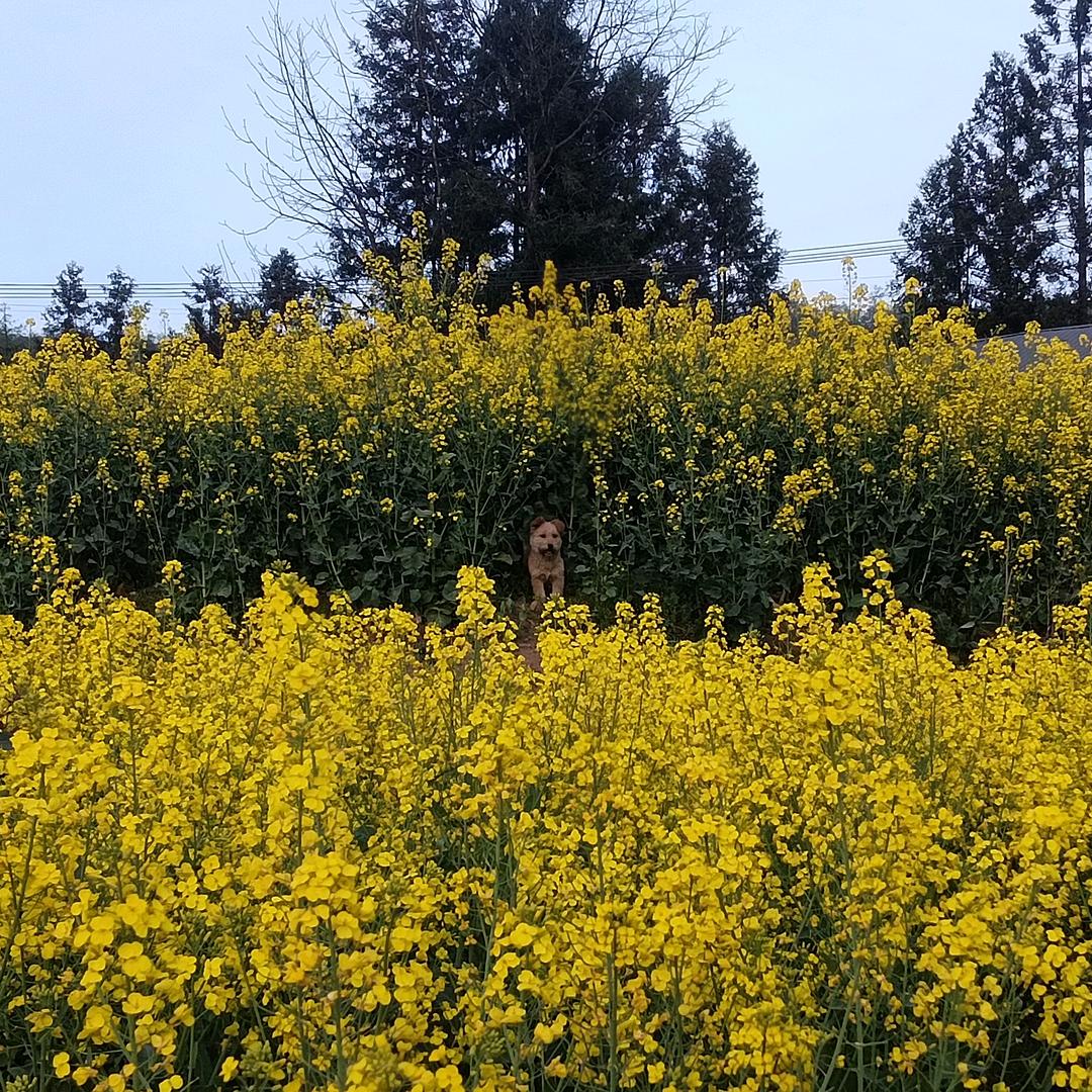 练宁宁