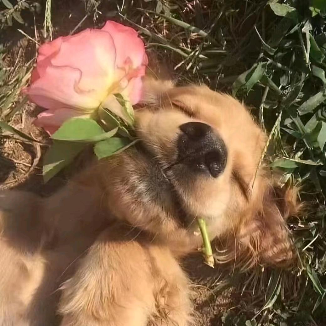 花间集77