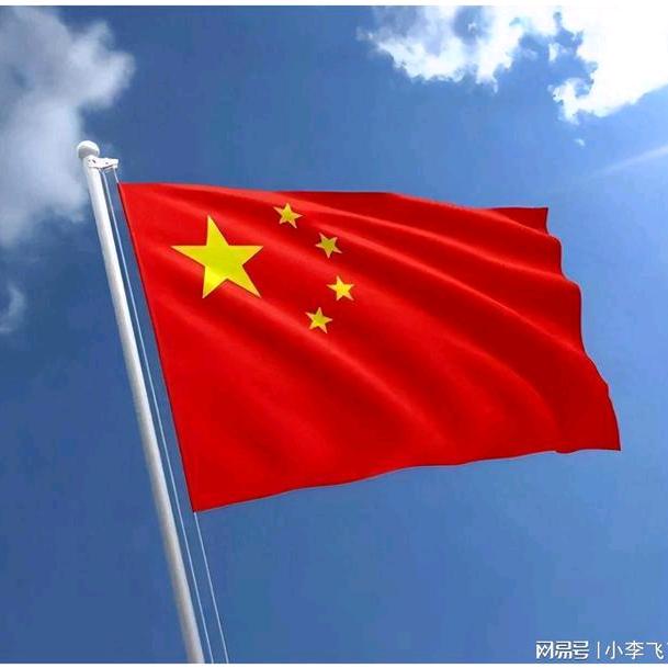 杨教练