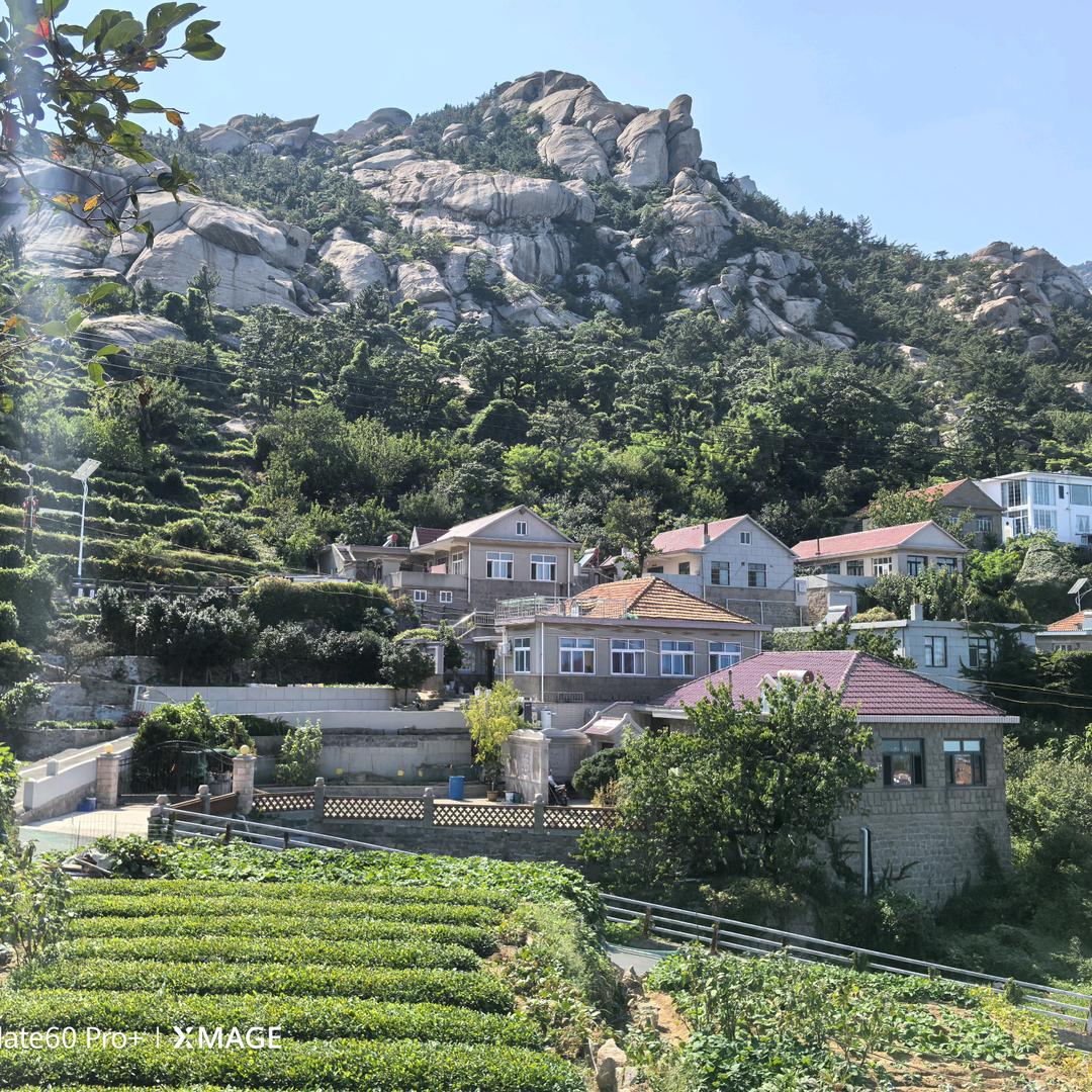 青岛润枫