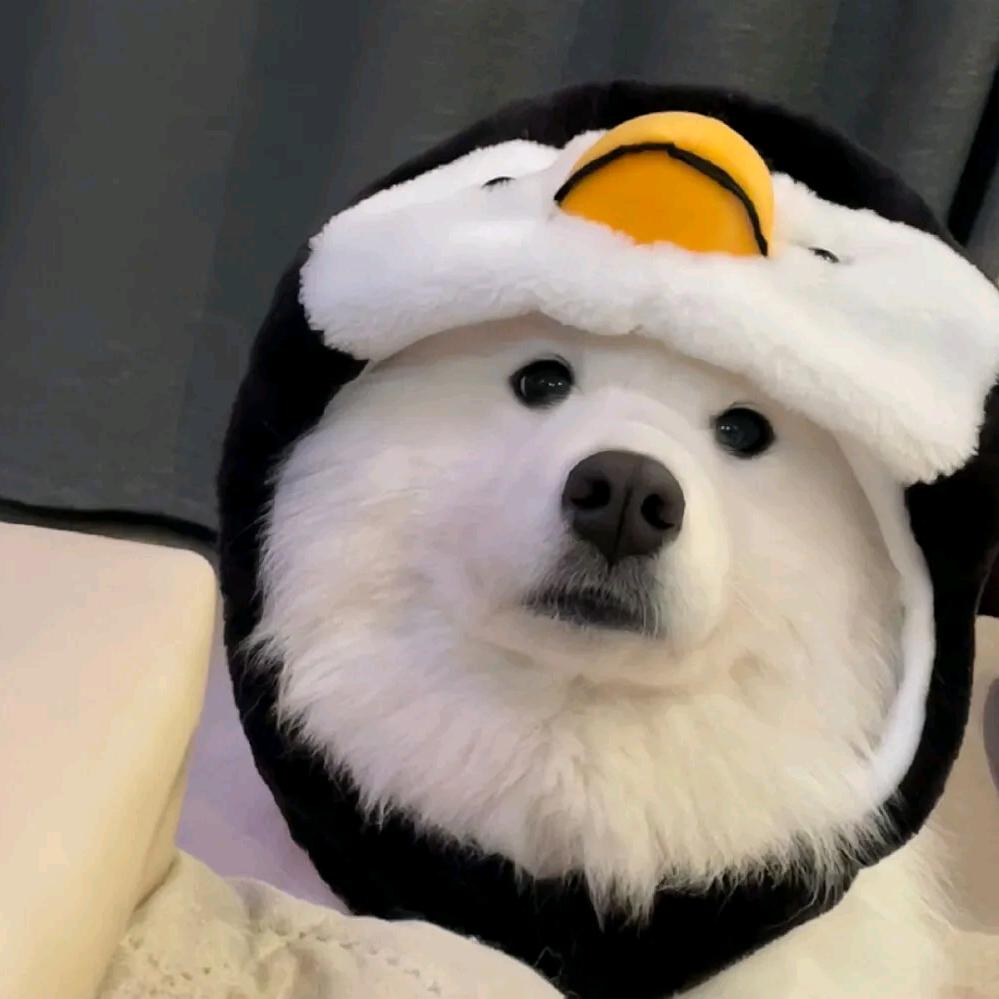 凉梦.