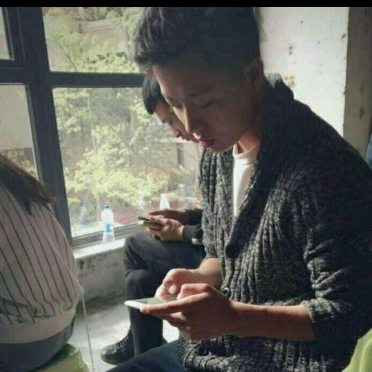 木丶木👺