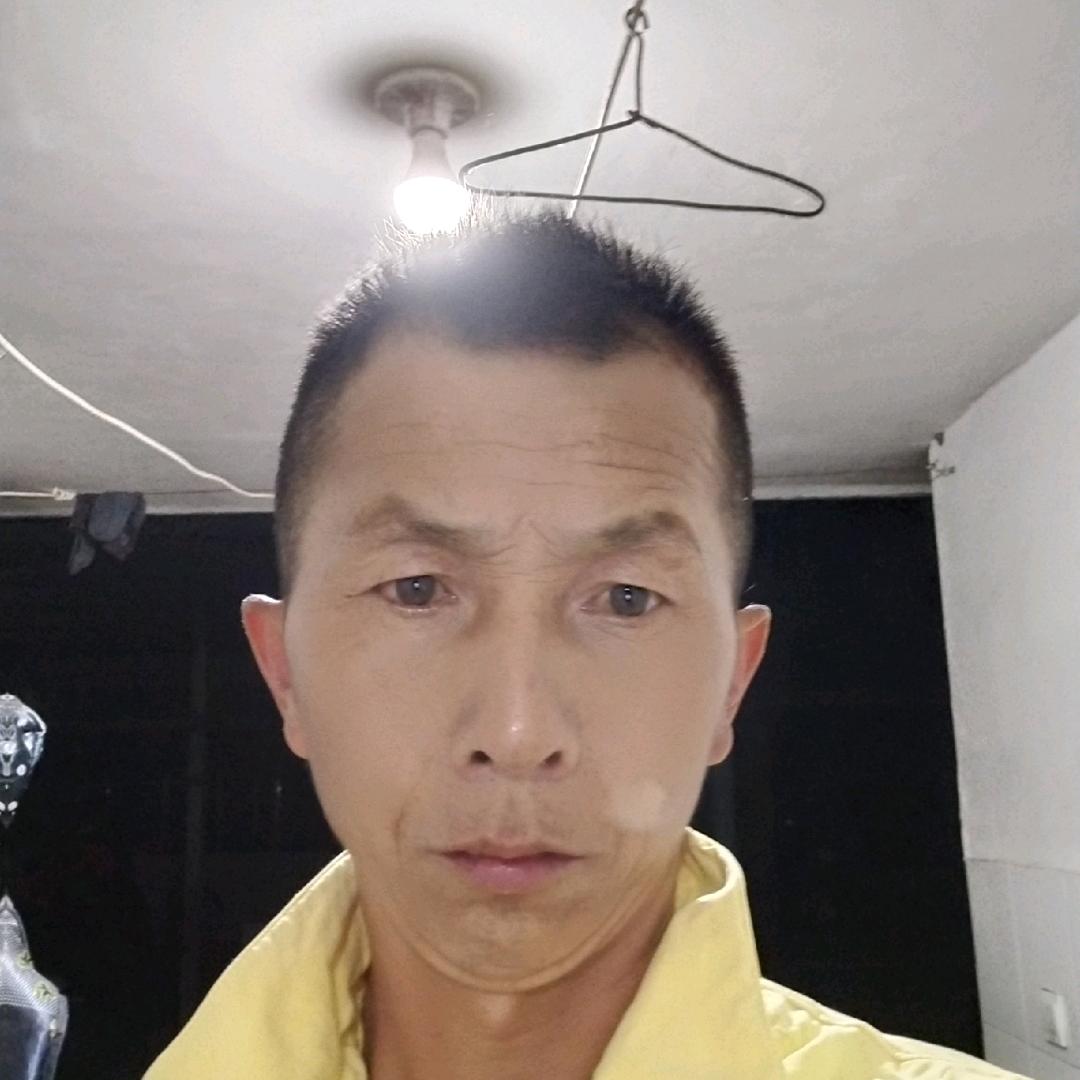 一路象东