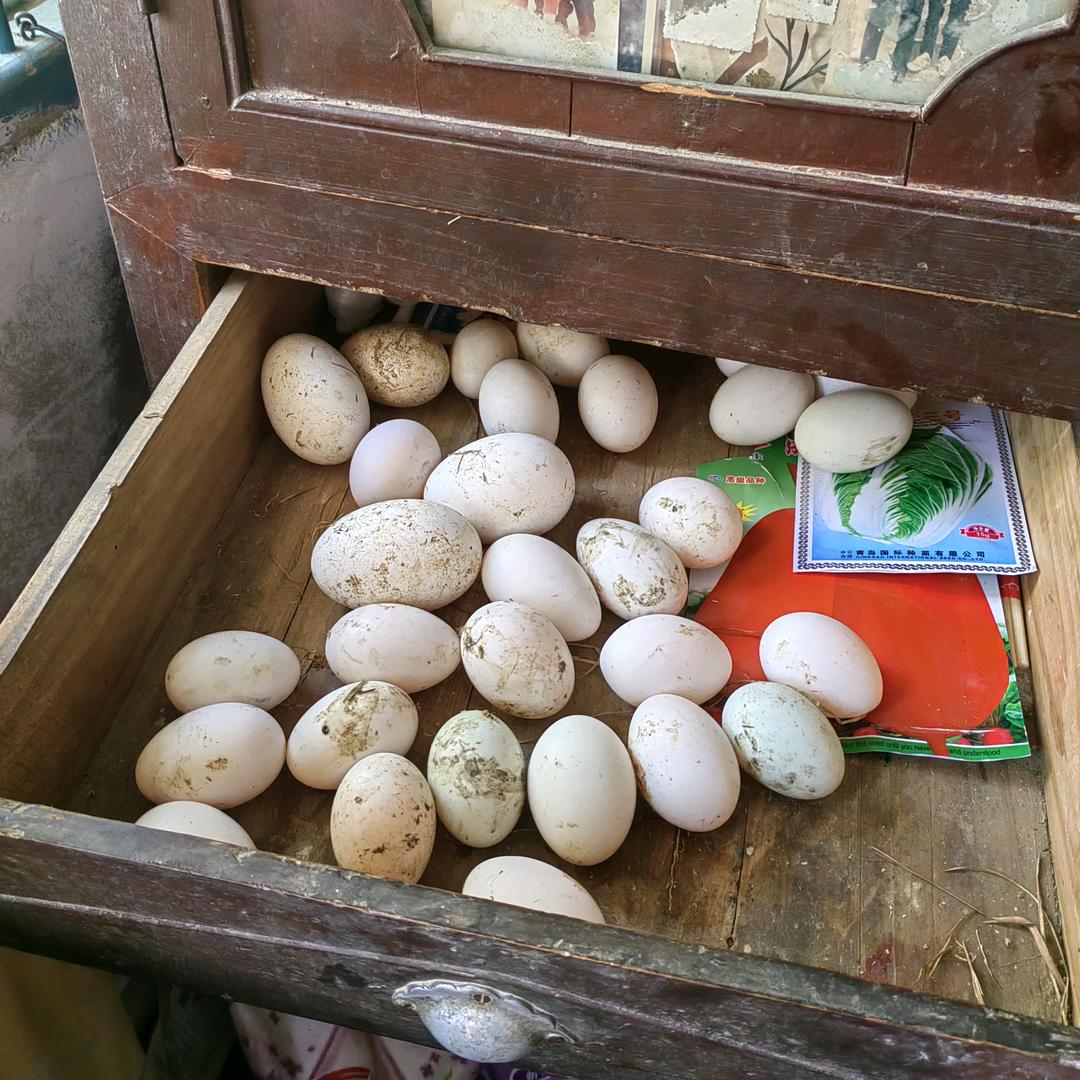 小吃货农副店