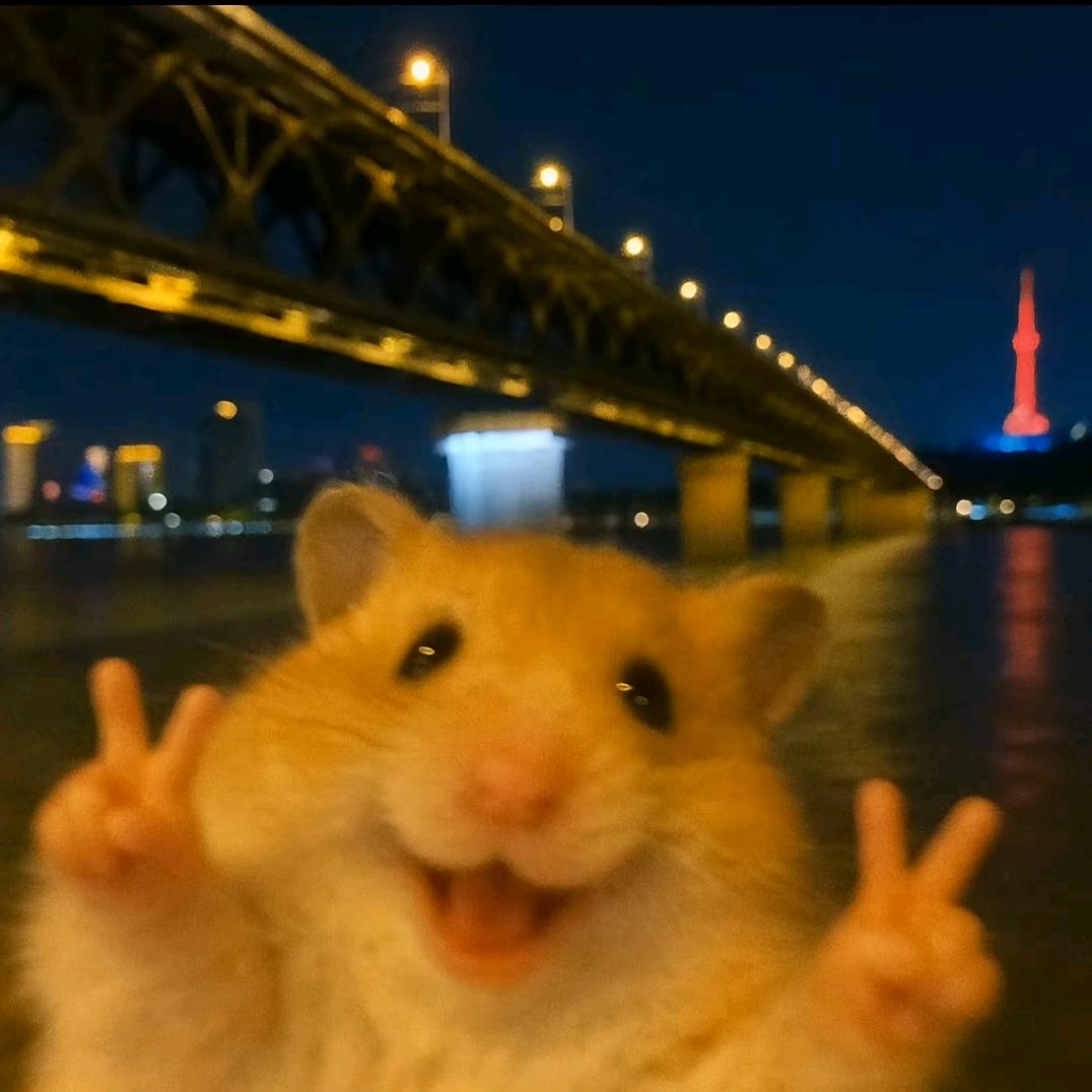 哈基荫