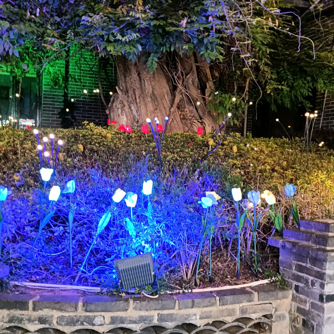 手握风云☆☆☆☆☆