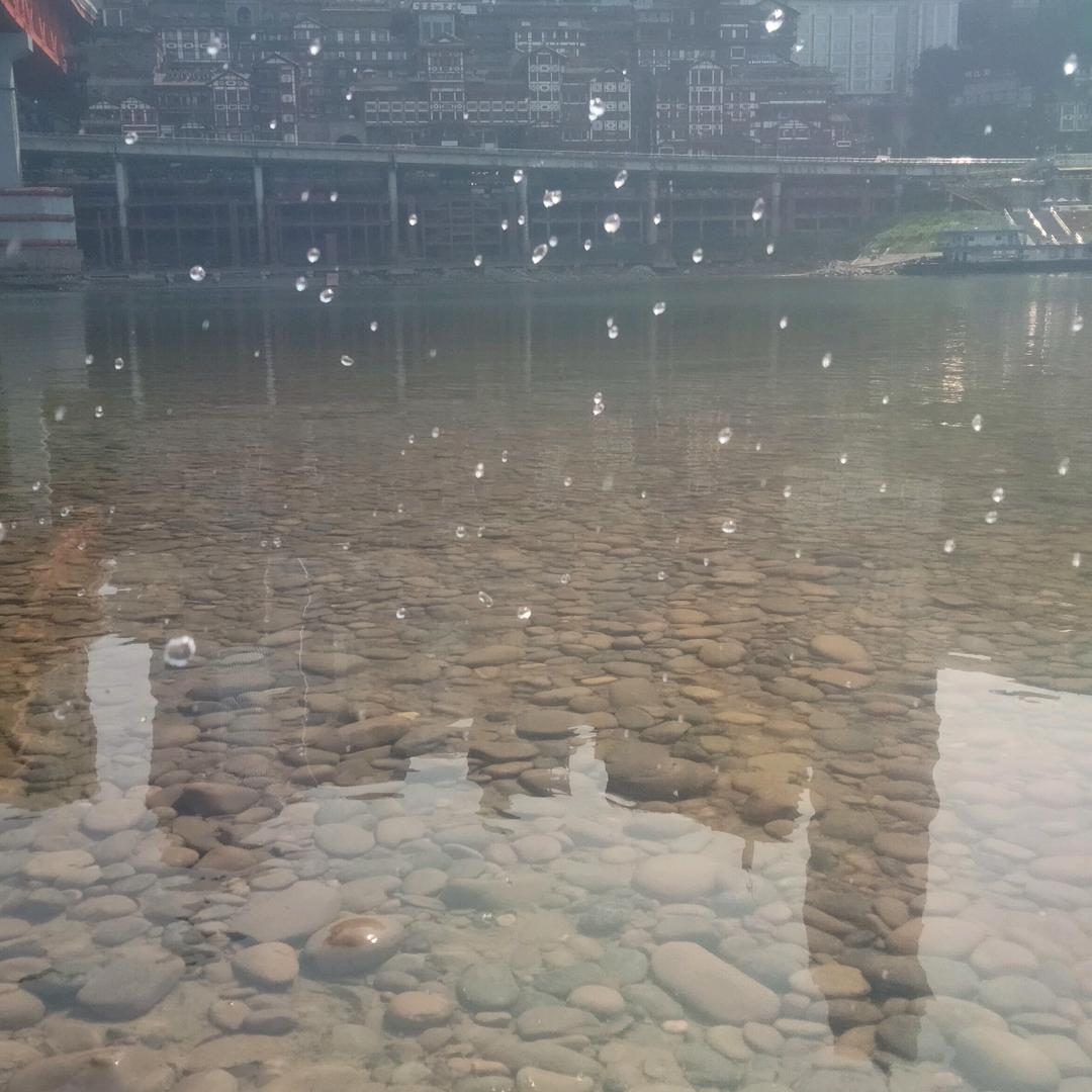 辛家小妹