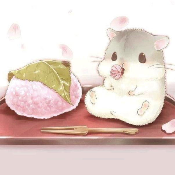 骑着大象揍蜗牛