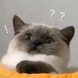 别扒拉我（无题）