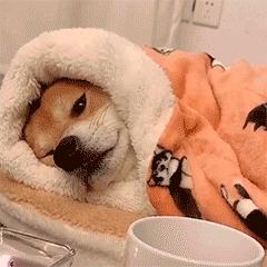 唔～～