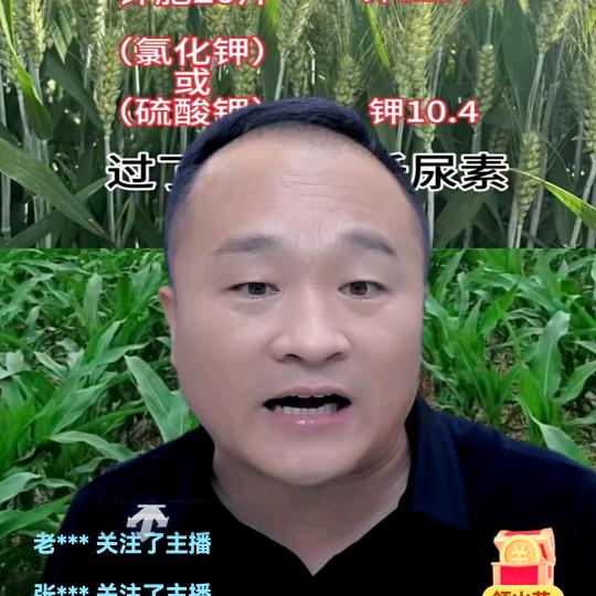 征服头像