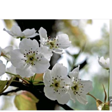 (❁´◡`❁)往事清零