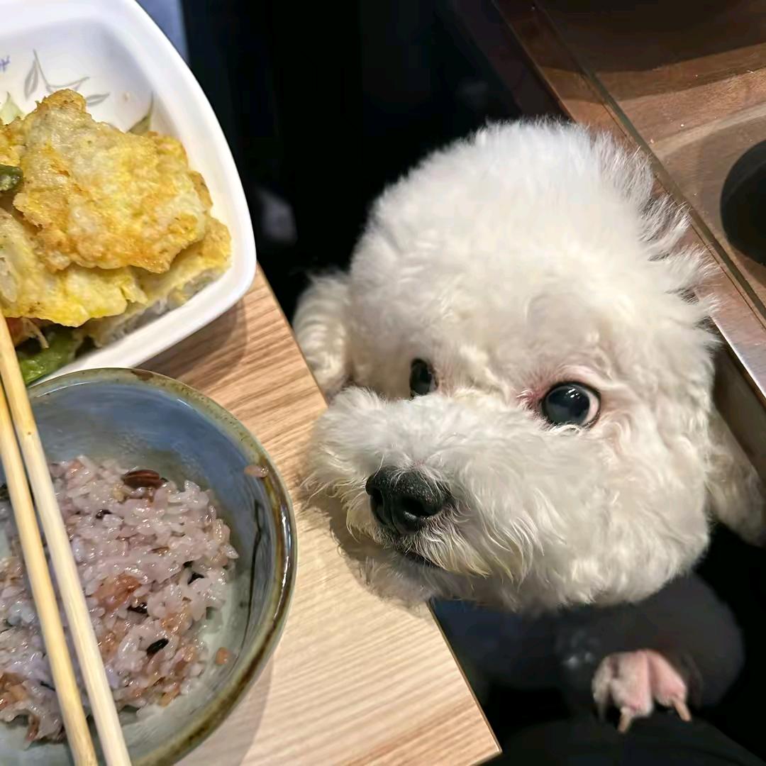 不懂哦ゃ💭