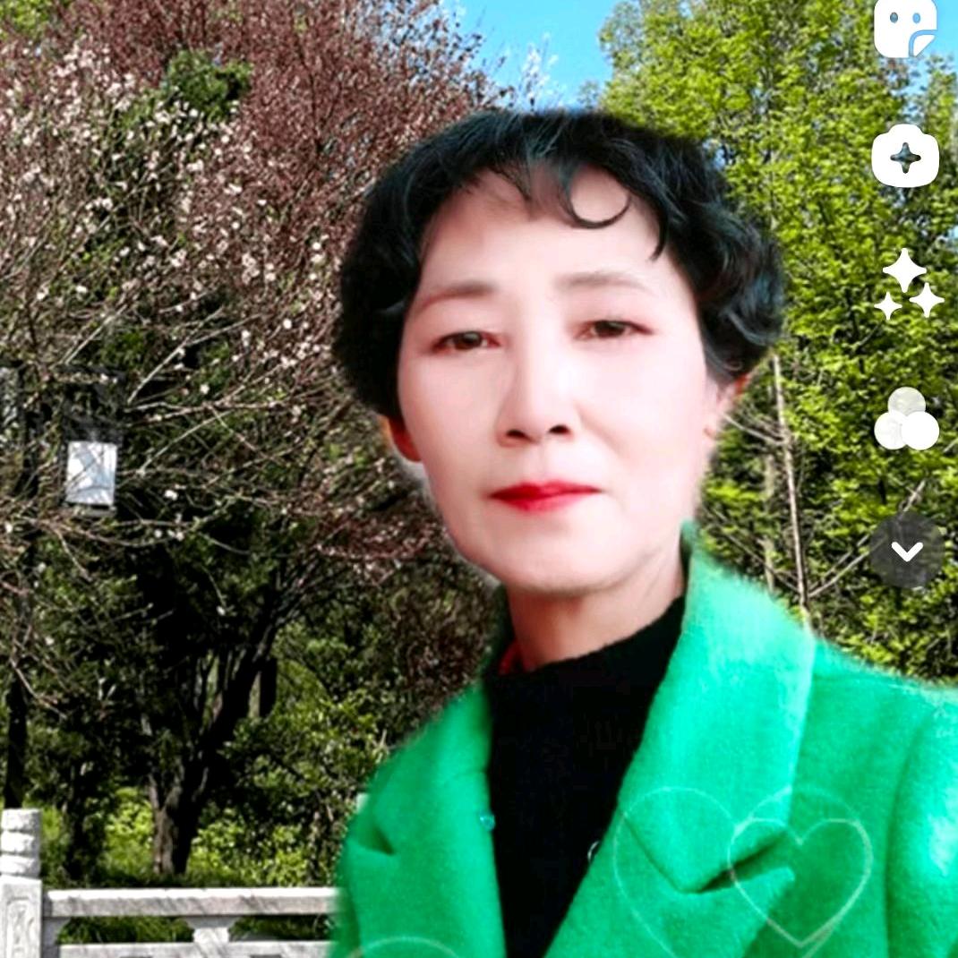 山茶